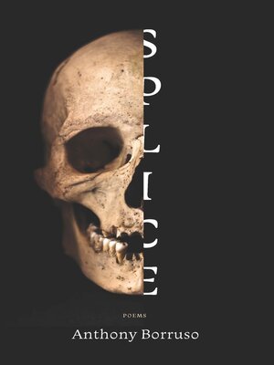 cover image of Splice